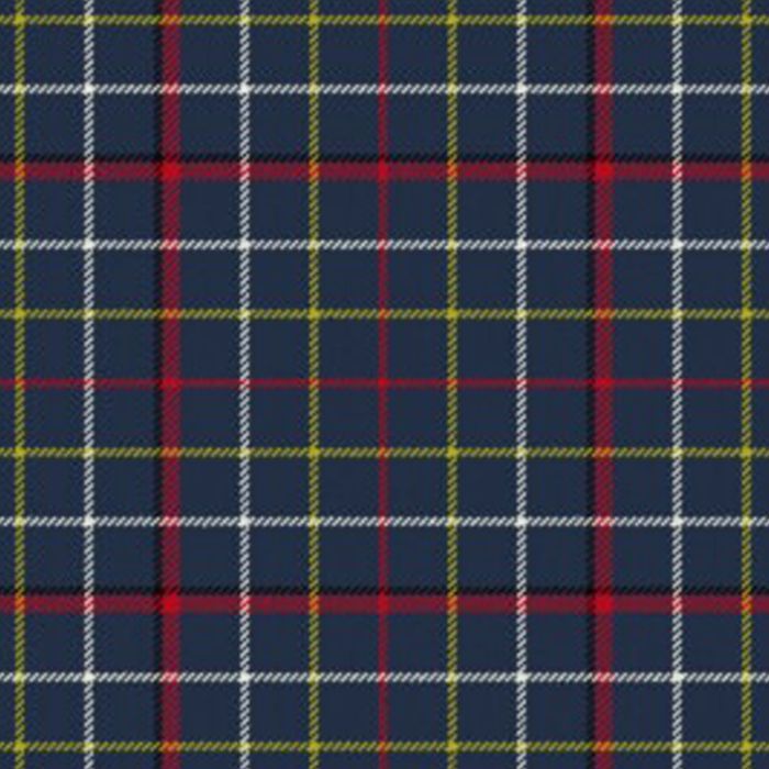 Lifeboats Royal National Institute Tartan Kilt