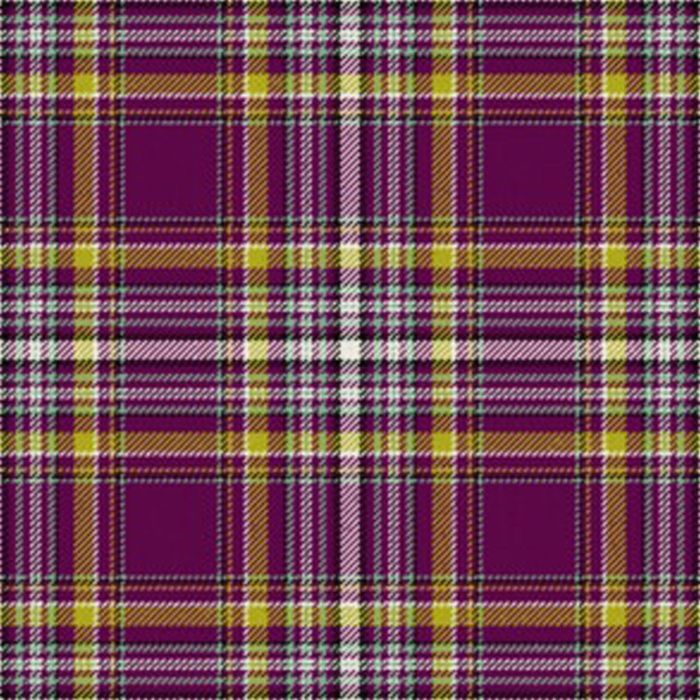 Lions Tartan Kilt