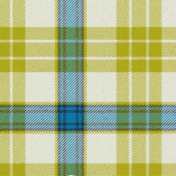 McGraw Modern Tartan