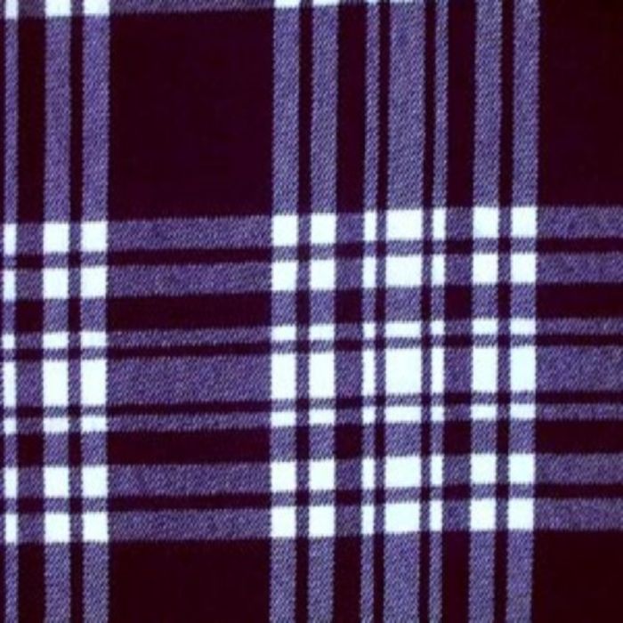 Menzies Navy/white Tartan 