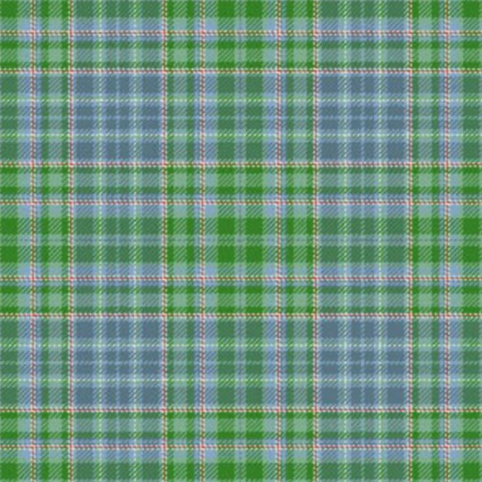 Morddyn Tartan Kilt