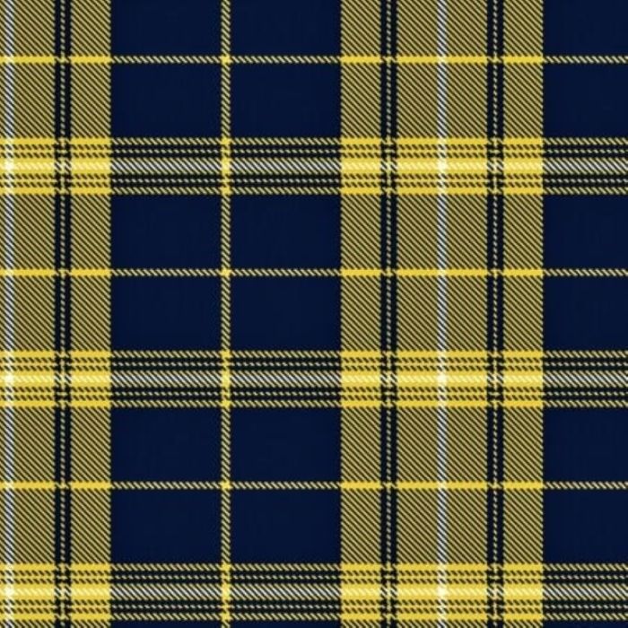 Morris of Wales Tartan