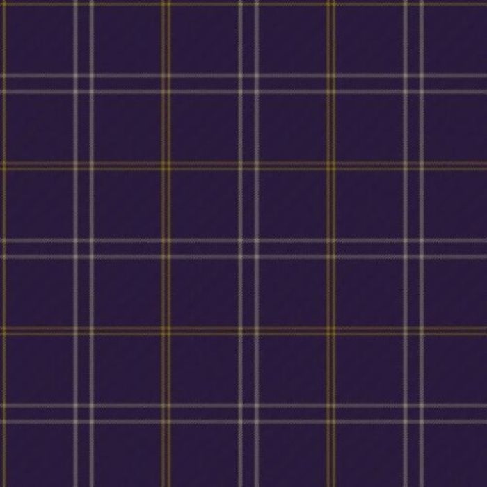 Morton FC Tartan 
