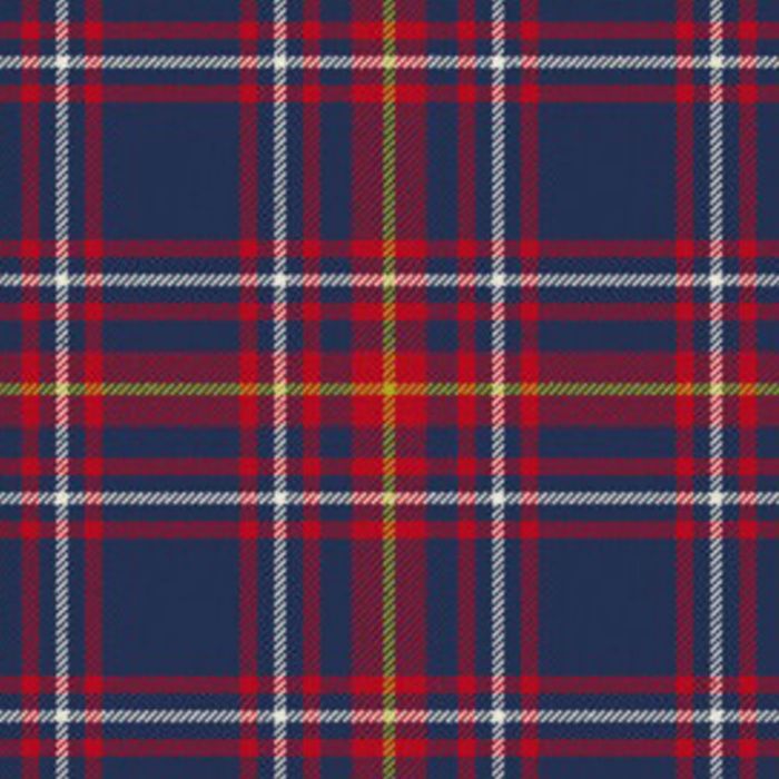 Newton Primary School Tartan Kilt