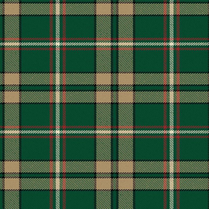 O'Neill Cliffford Tartan Kilt