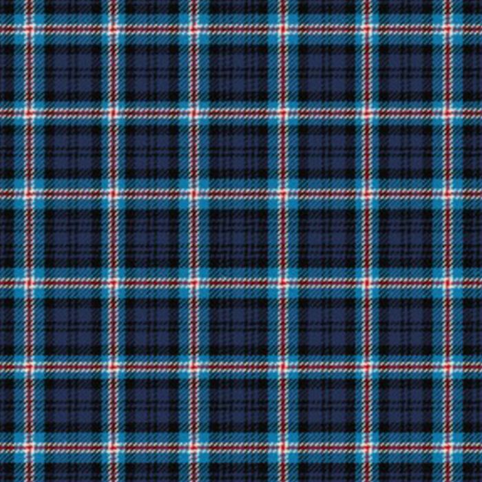 Palatine Union Tartan Kilt