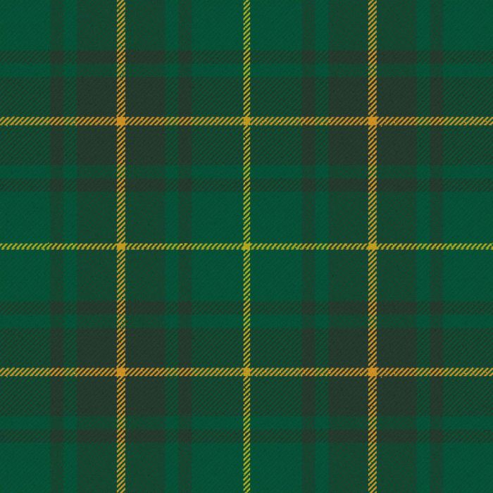 Park Estate Ancient Tartan Kilt