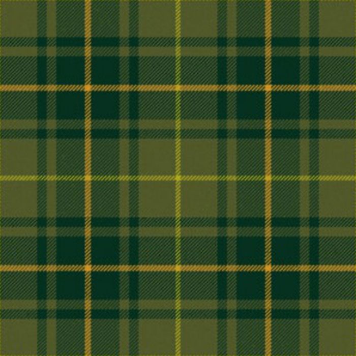 Park Estate Modern Tartan Kilt