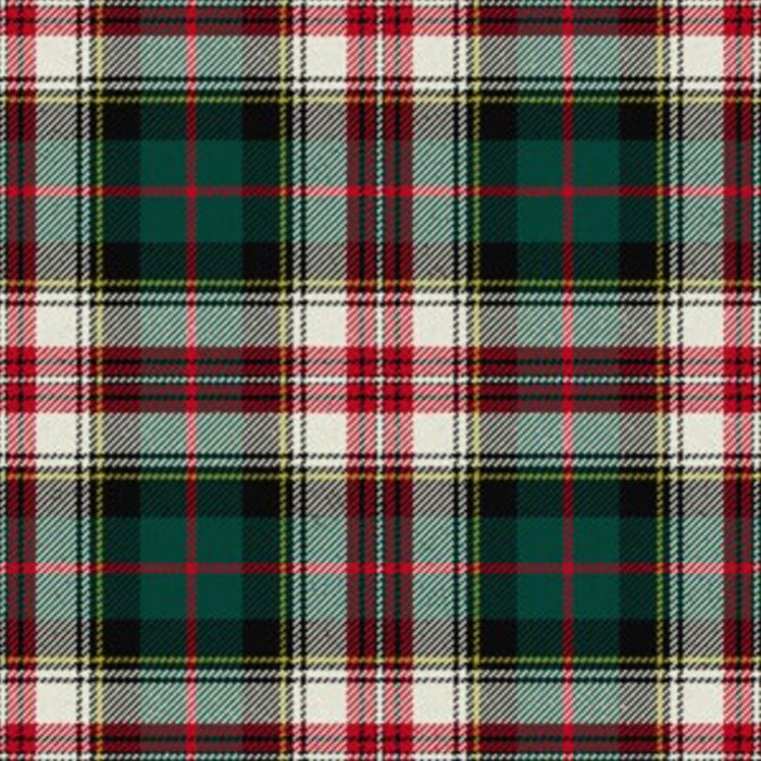 Plamer Edward Modern Tartan Kilt