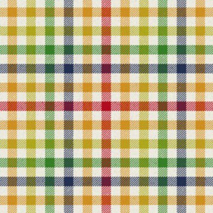 Rainbow Fort Worth Tartan Kilt