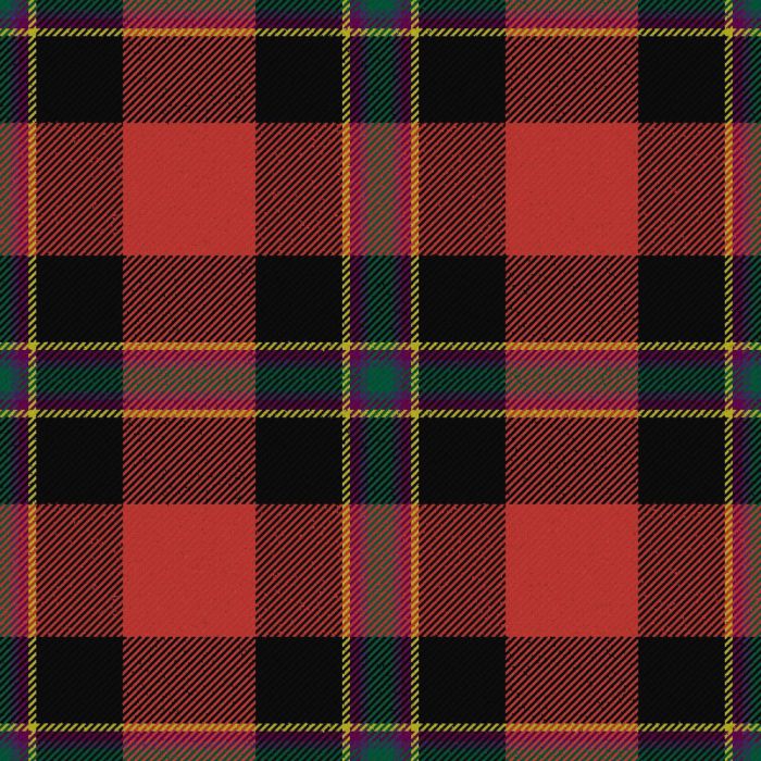 Rei Okamoto Ancient Tartan Kilt