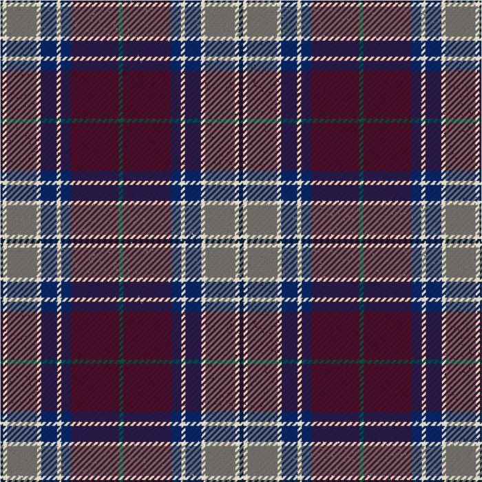 Royal Society For The Prevention Of Cruelty To Children Heather Modern Tartan Kilt