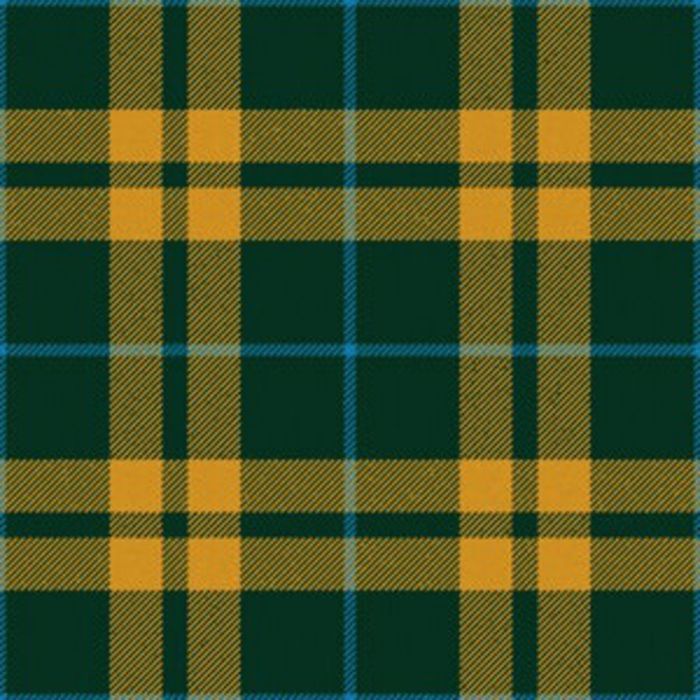 Saffron Special colour Modern Tartan Kilt