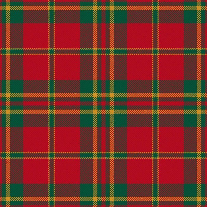 Spice Apple Modern Tartan Kilt