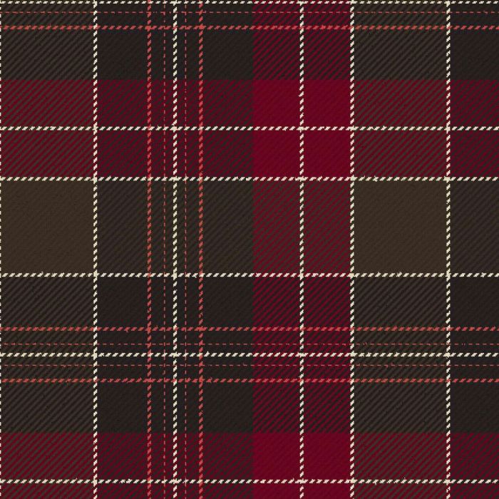 St David's Brithwe Dewi Sant Modern Tartan Kilt