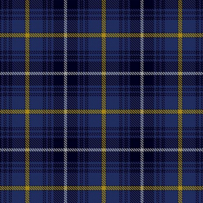 Swedish Tartan Kilt