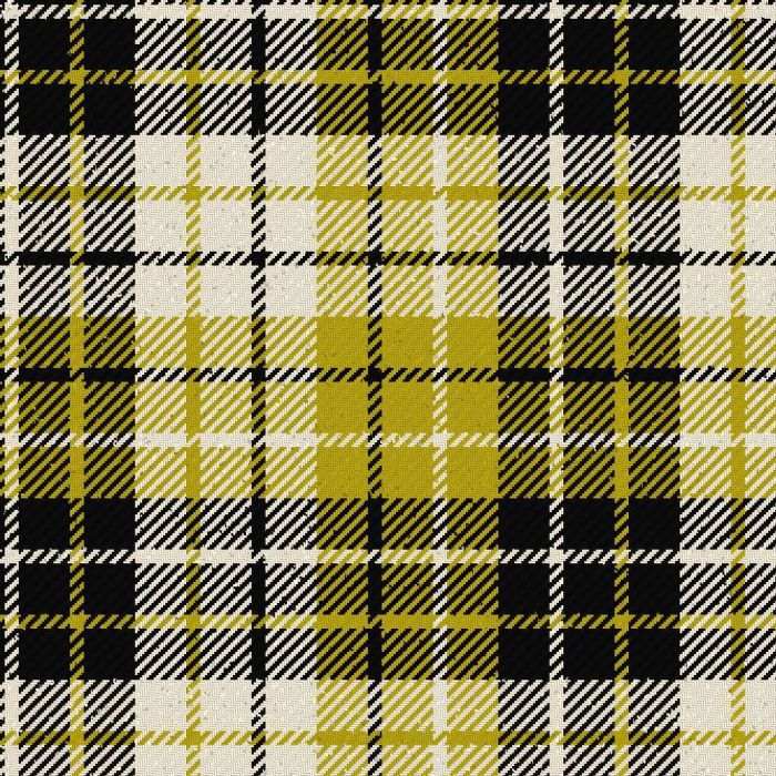 Tartan Of The Republic Tartan Kilt