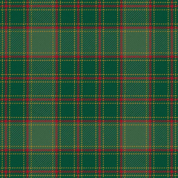 Terry Modern Tartan Kilt