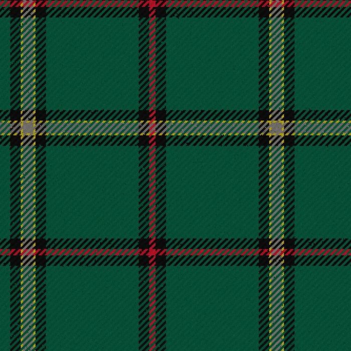 Tough Modern Tartan Kilt