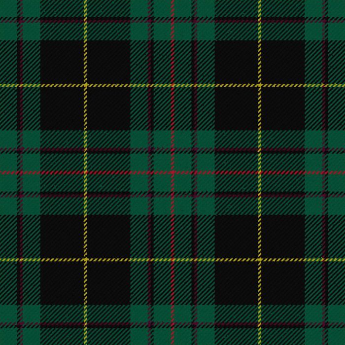 Vipont Yellow Line Modern Tartan Kilt