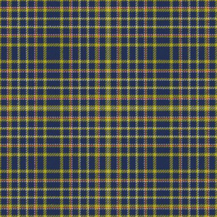 Wanless Tartan Kilt