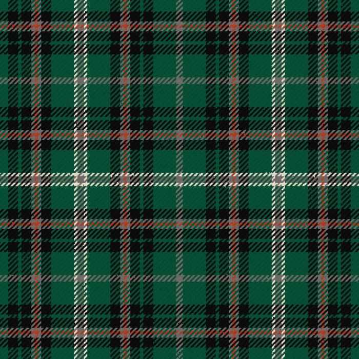 Wilcox Yu Cruikshank Reunion Tartan Kilt