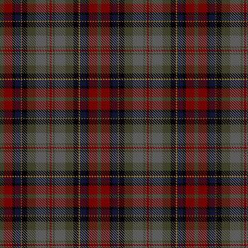A Man's a Man St Petersburg Tartan kilt