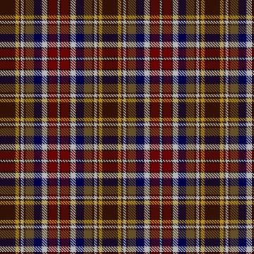 A Man's a Man Ukraine Tartan kilt