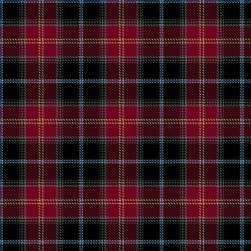 Aberdeen City Council Tartan kilt