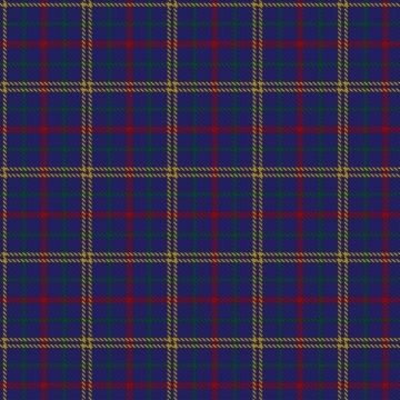 Abertay University (Estimated threadcount) Tartan kilt