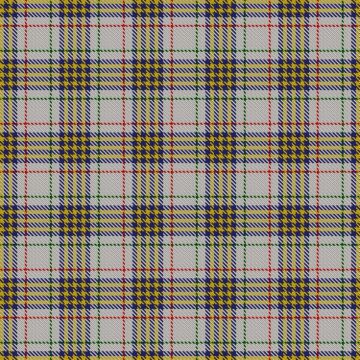 Aelfleda Arisaid (Personal) Tartan kilt