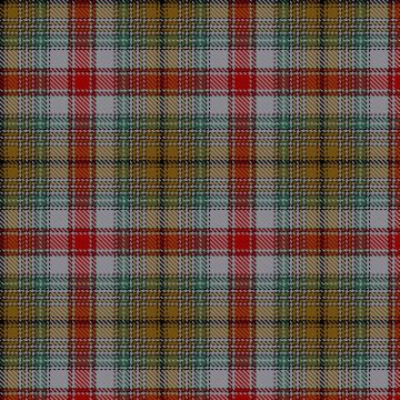 Afonso, F & Family (Personal) Tartan kilt