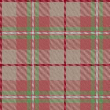Afternoon Tea Rose Tea Tartan kilt