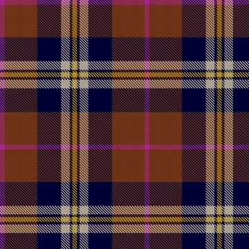 Afternoon Tea  Ruhuna Tartan kilt