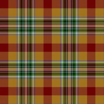Aguilar Gorrondona Family Tartan kilt