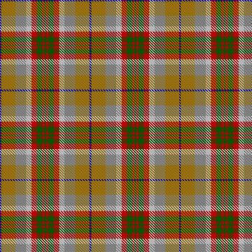 AI (Artificial Intelligence) Tartan kilt
