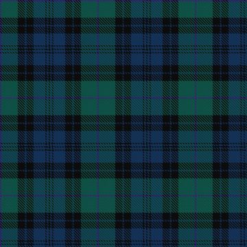 Aitchison Family (Kinghorn) (Personal) Tartan kilt