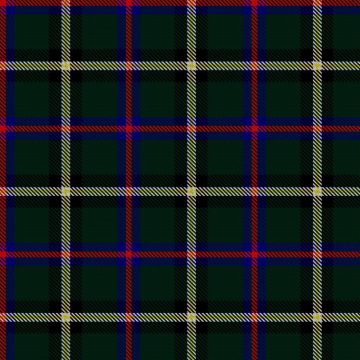 Albyn School Tartan kilt
