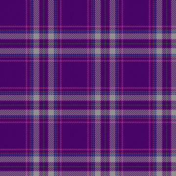Alzheimer Scotland Action on Dementia Tartan kilt