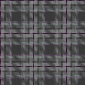 Anastasi, M & Bingham, H Wedding  Tartan kilt