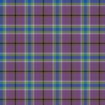 Ania´s Thistle Spirit Tartan kilt