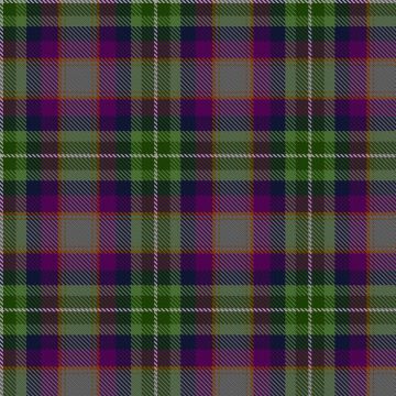 Annapolis Royal 2017 Celebration Tartan kilt