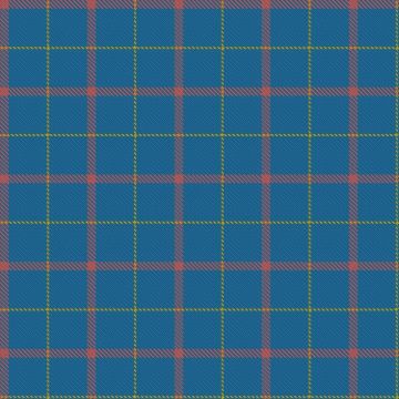 Aoife's Sensory Bus Tartan kilt