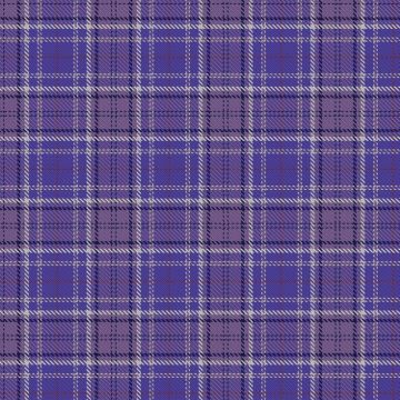 Arakawa Tartan kilt