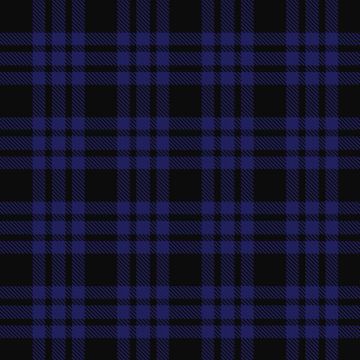 Auchincloss (Personal) Tartan kilt