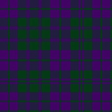 Auld Lang Syne (Viking Technology) Tartan kilt
