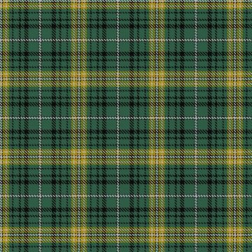 Avalon Calvert House Tartan kilt
