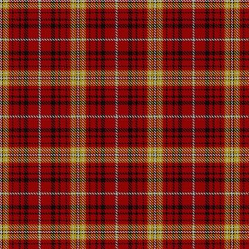 Avalon Stewart House Tartan kilt