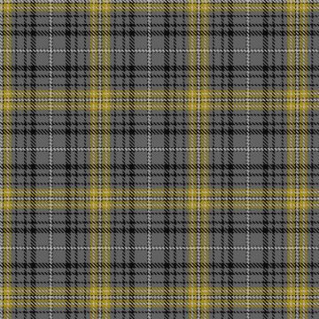 Avalon Washington House Tartan kilt
