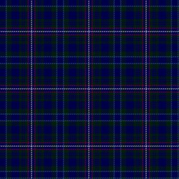 Ayre Robinson (Personal) Tartan kilt